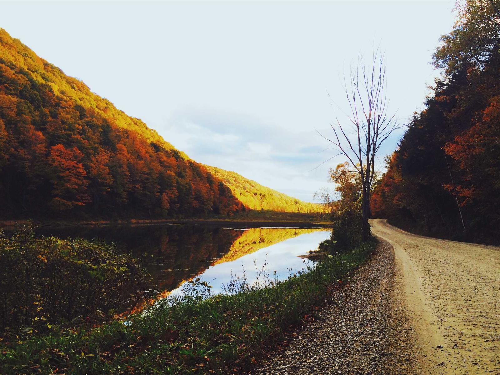 Lena Marsh Photography photo 9